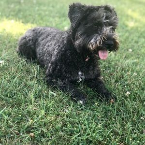 Meet your Posher, Michelle